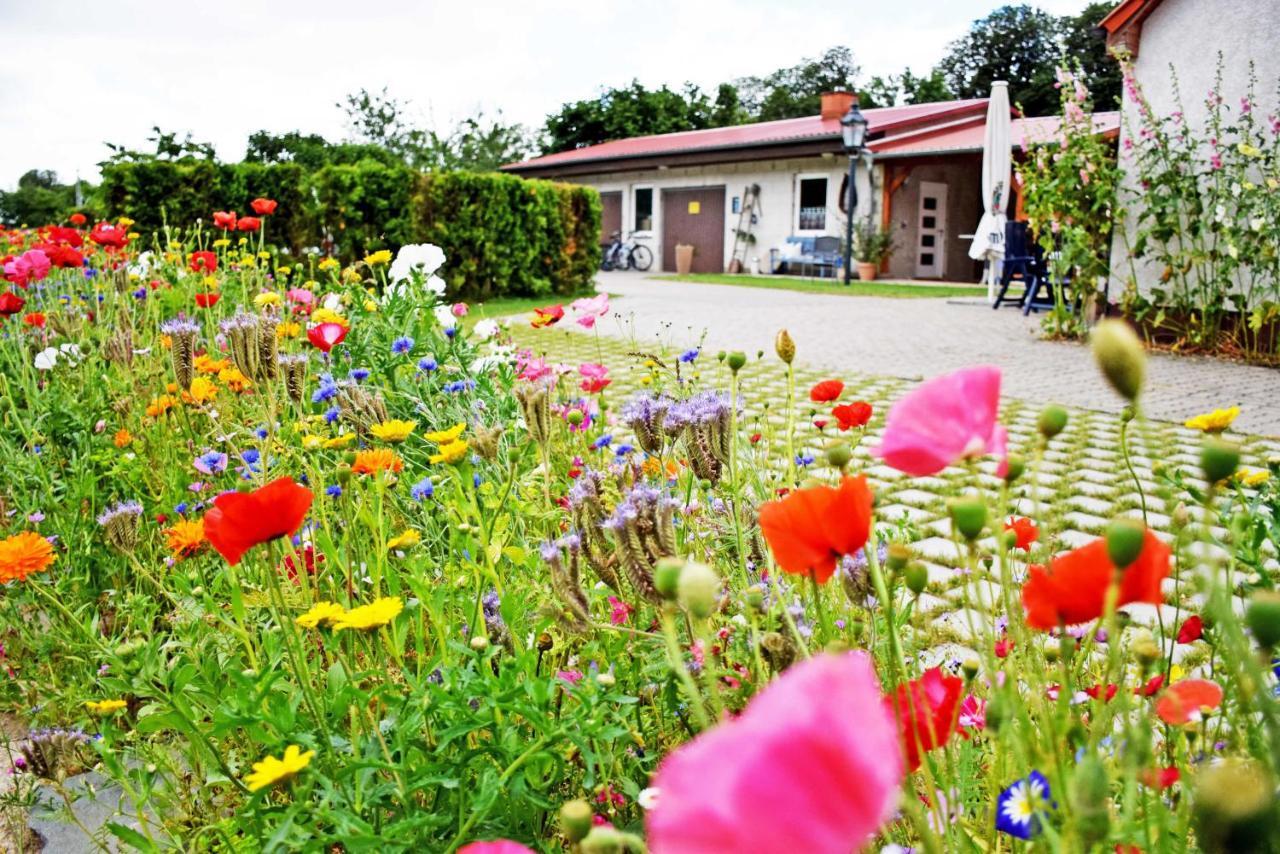 Ferienwohnungen Auf Dem Pommernhof Samtens Bagian luar foto