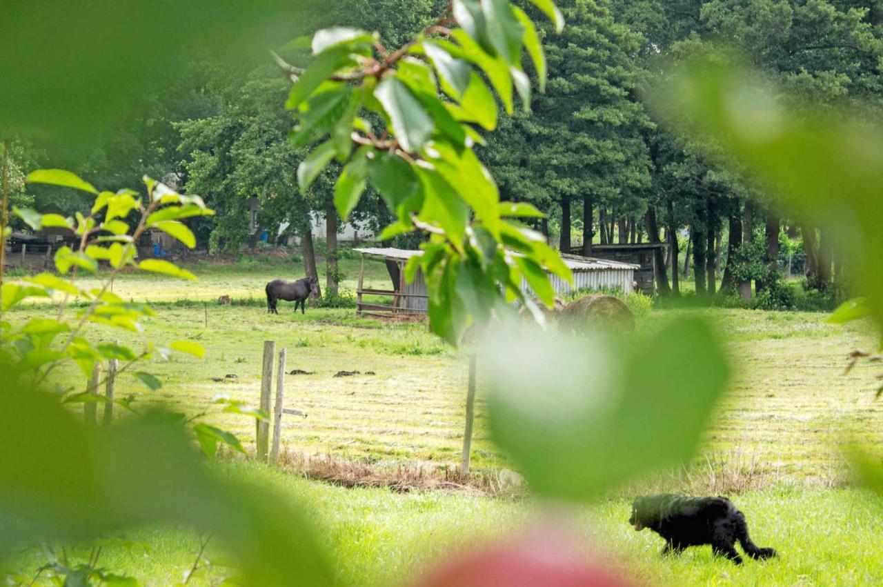 Ferienwohnungen Auf Dem Pommernhof Samtens Bagian luar foto